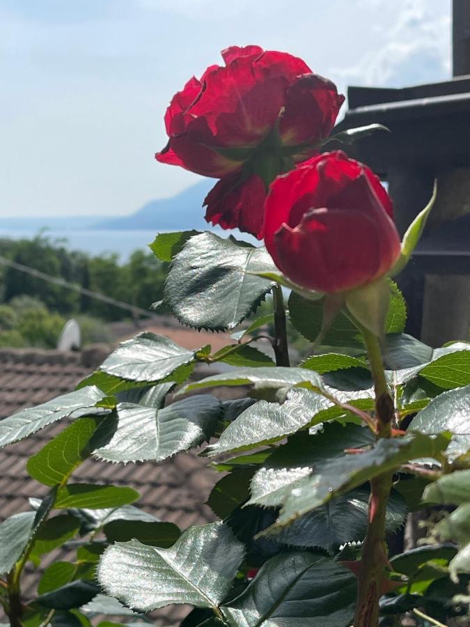 Le Due Terrazze Villa Brenzone sul Garda Exterior foto